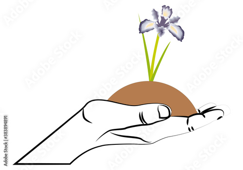 Mano cogiendo tierra con una flor.