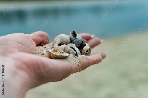 River shells and fine white river sand fall from a woman's hand in nature
