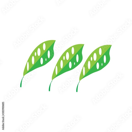 holow leaves vector photo