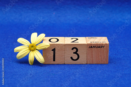 13 January on wooden blocks with a yellow flower on a blue background