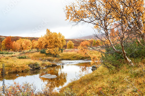 Fall in Norway