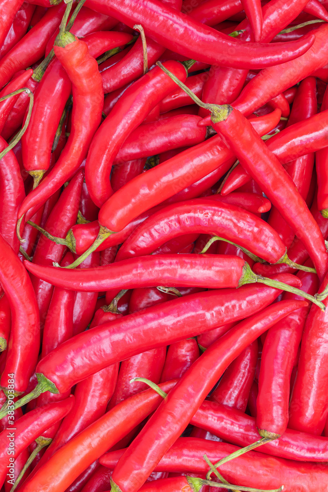 Red chilli peppers texture background, many chilli peppers.