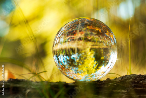 A lens ball in nature. Forest view through the glass ball in blur.