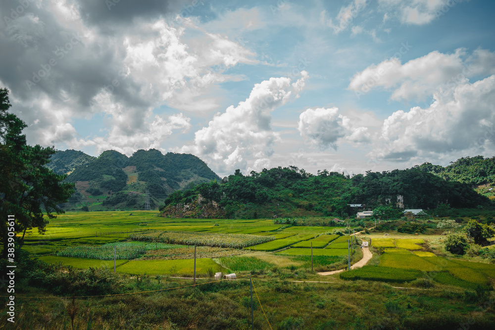Green rice fields and hills, view from Ban Ang lake, Moc Chau, Vietnam.