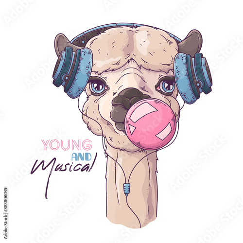 Hand drawn portrait of cute alpaca Vector.