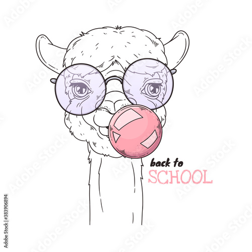 Hand drawn portrait of cute alpaca Vector.