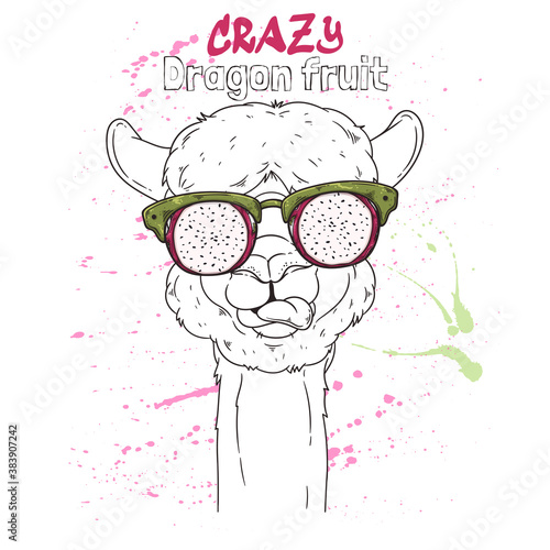 Hand drawn portrait of cute alpaca Vector.