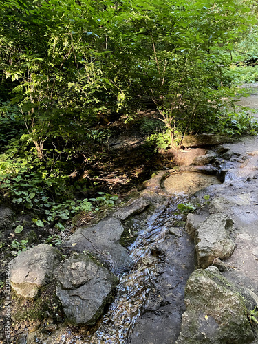forest nature reservoir river