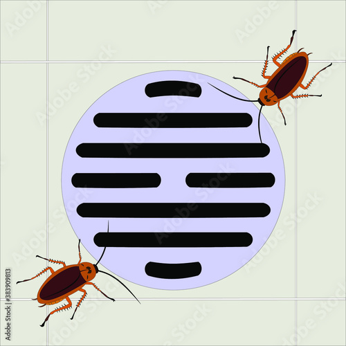 Toilet drain vector. cockroach vector. free space for text. copy space.