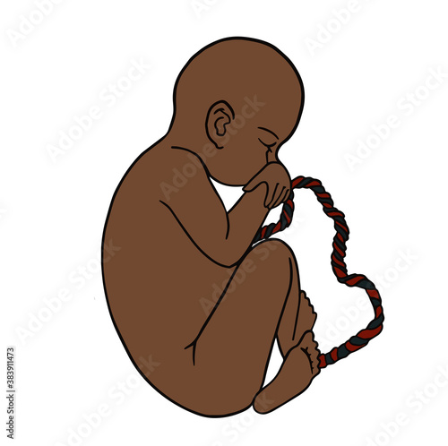 Afro baby in the womb. Side view fetus baby growth in placenta 3 trimester.silhouette, vector illustration Vector icon. For cards, posters, coloring book,for scientific journals book illustrations