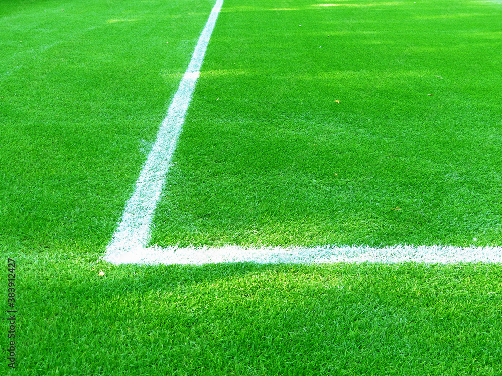Obraz premium Lawn