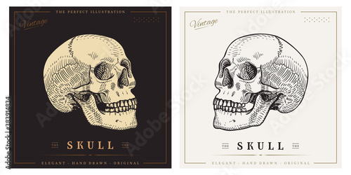 Human skull sketch vintage retro detailed engraved style illustration