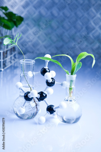 Working in a laboratory and plants  photo