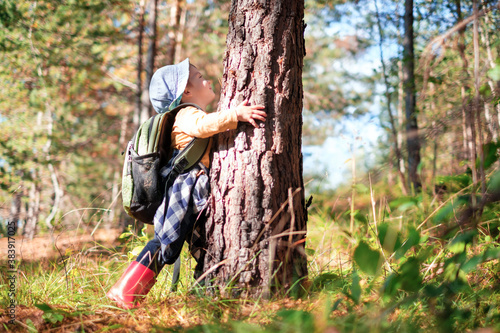Canvastavla Small kid in yellow sweater hugs a pine tree in autumn forest