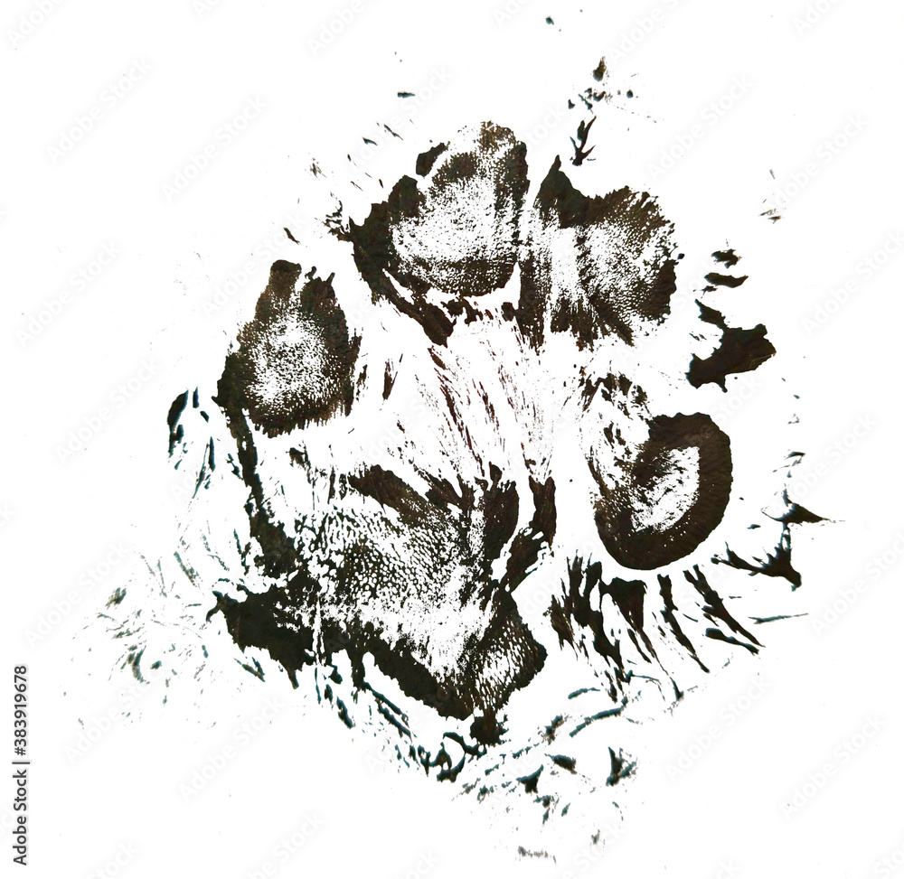 A print of a dog paw. A real Alaskan malamute puppy paw imprint made with black paint.