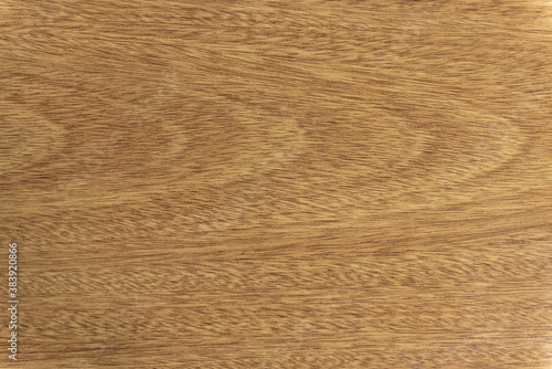 Natural walnut wood texture, laminate background