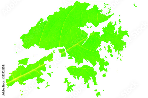 Map of Hong Kong in green leaf texture on a white isolated background. Ecology  climate concept  Vector illustration.