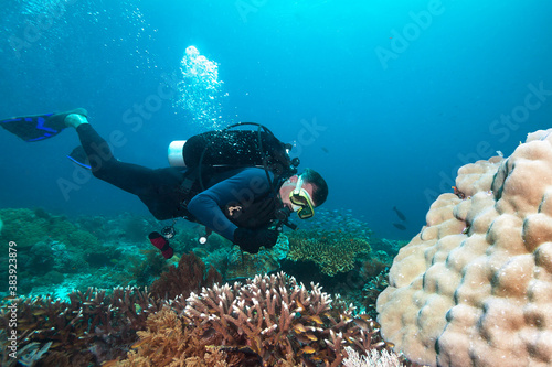 Scuba diver exploreds coral reef. 