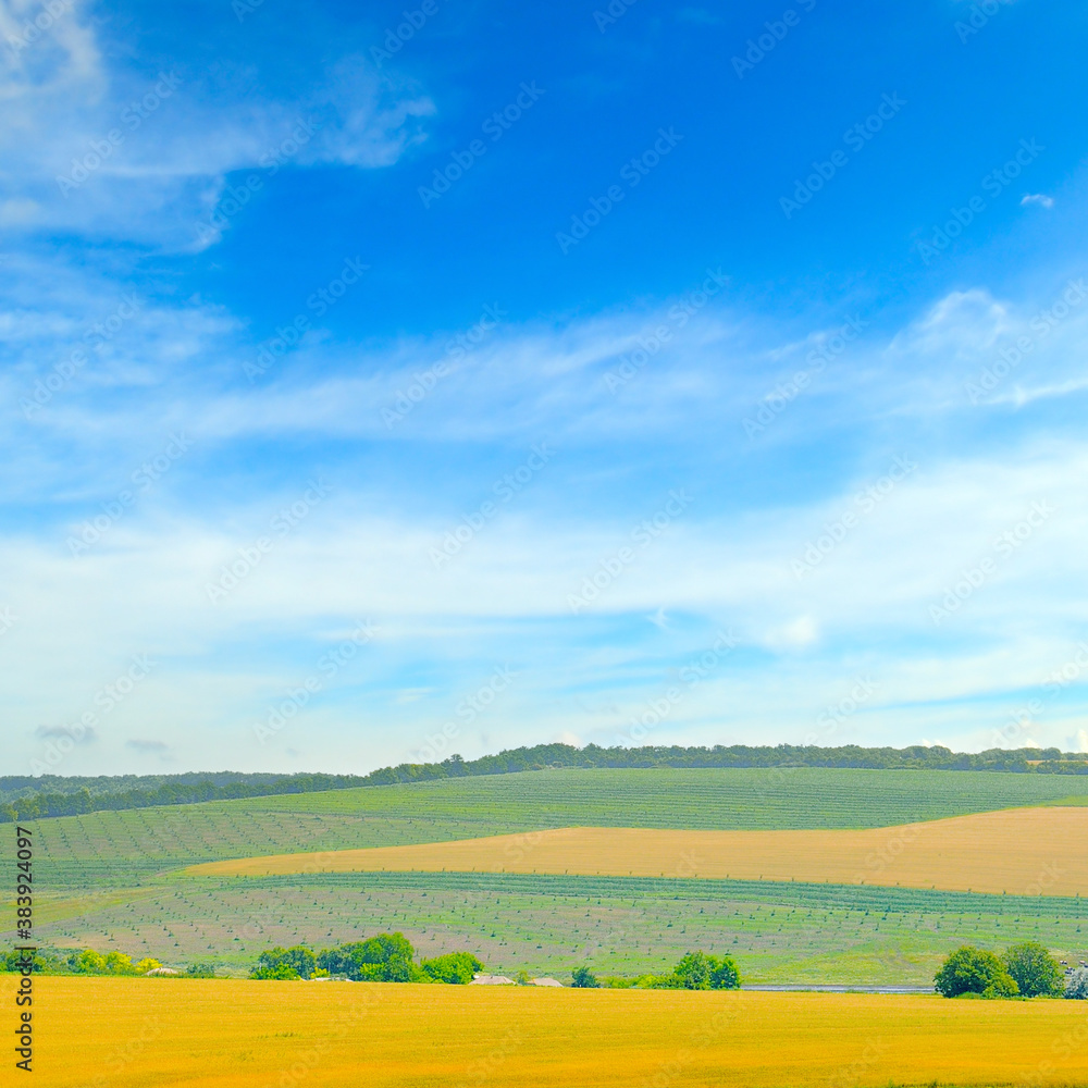 Picturesque fields and blue sky.