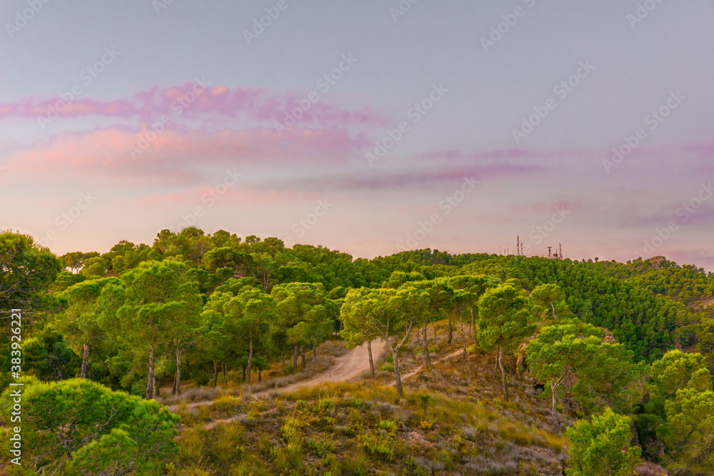 Beautiful landscape at sunrise with pink clouds. Path between pine forests. Communication antennas in the background