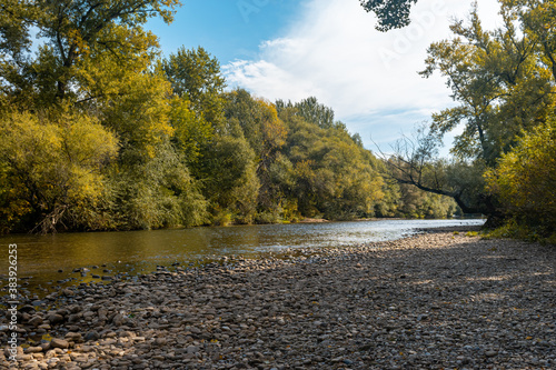 The Nišava river and forest in early autumn