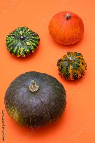 Composition of various pumpkins on orange background. (Vertical photo, Focus stackin) photo