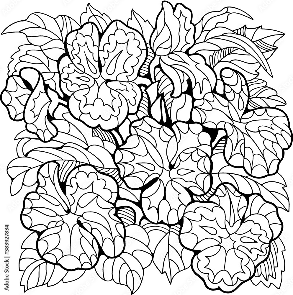 Coloring page for adult and older children.Floral composition of viola flowers.