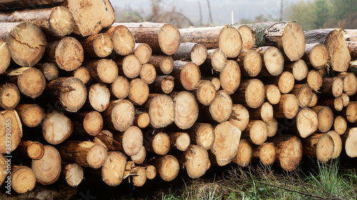 stack of wood radevormwald germany