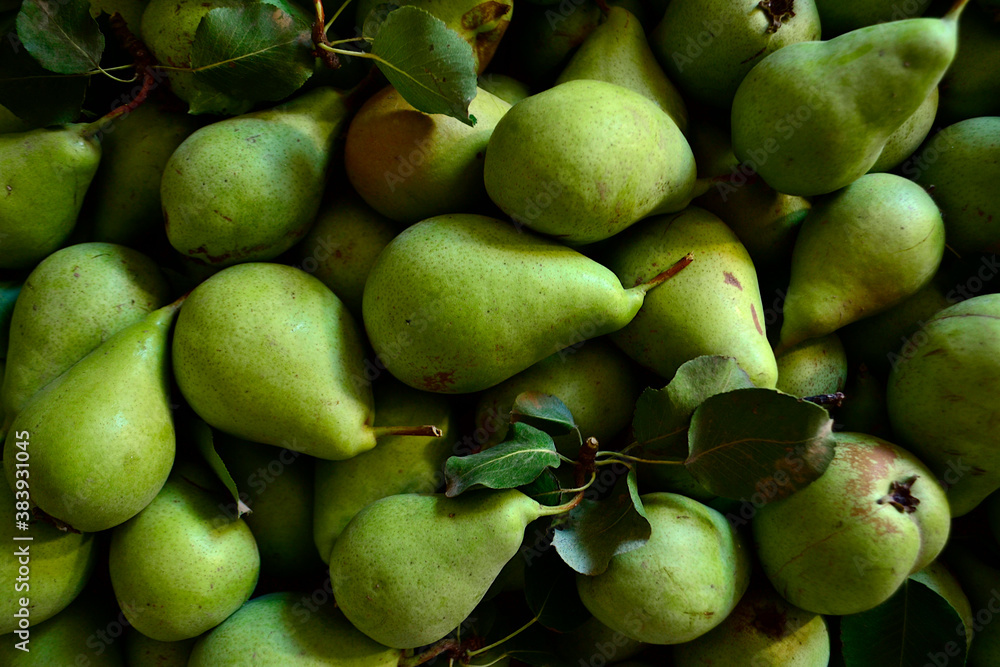 freshly picked pears are in a box freshly picked pears are in a box