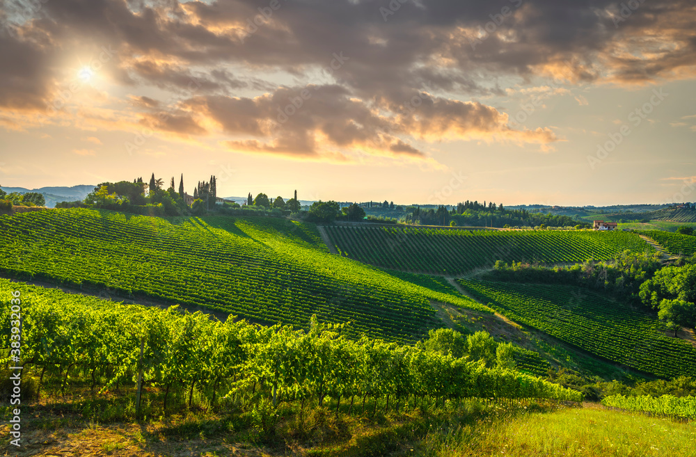 Fototapeta premium Panoramic view of chianti and vernaccia vineyards. San Gimignano. Tuscany, Italy