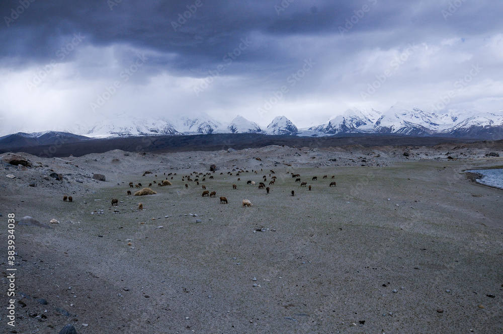 View of the karakoram mountain range from the Karakul lake, Xinjiang Province, China View of the karakoram mountain range from the Karakul lake, Xinjiang Province, China