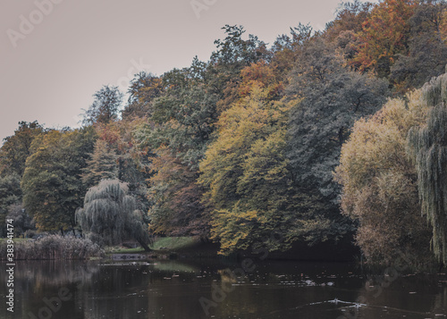 autumn in the park