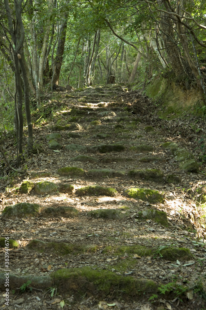 清水の石段 清水の石段