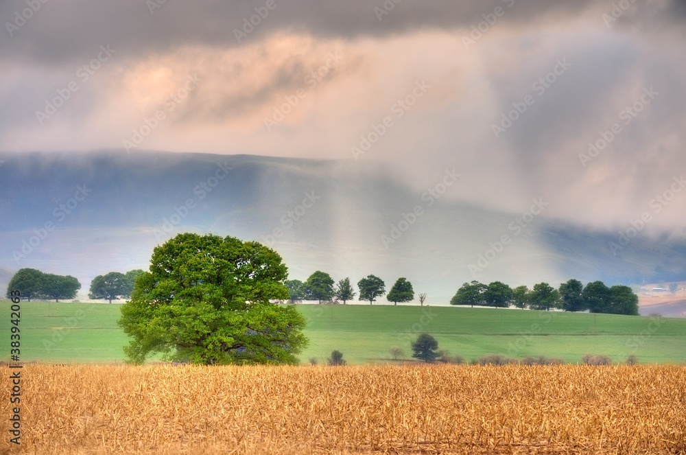 Fototapeta premium SHAFTS OF SUNLIGHT break through thick morning cloud to illuminate farmlands in the Drakensberg foothills, Himeville, Kwazulu Natal, South Africa