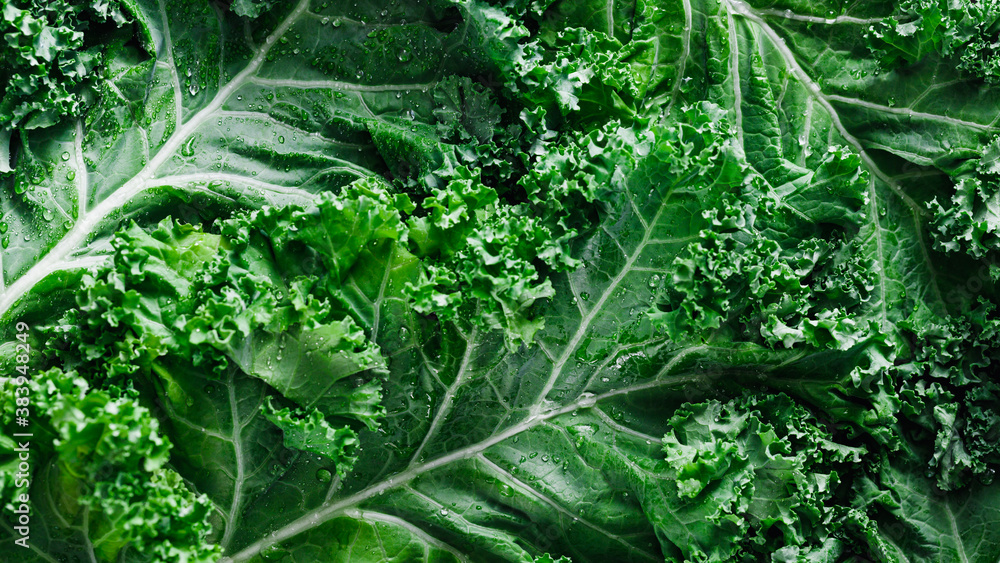Top view of fresh curly kale salad, food background, macro photography - obrazy, fototapety, plakaty 