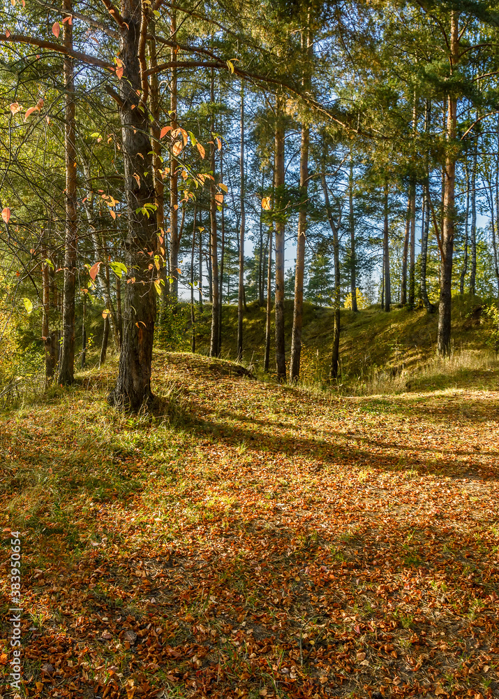 Beautiful autumn evening on the bank of the quarry.