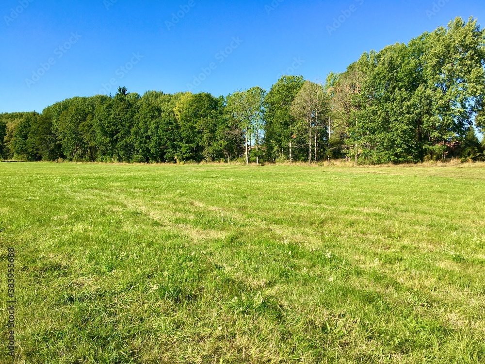 A nice field or meadow at a random Swedish countryside. A sunny day during late summer. Clear blue sky, not a single cloud. Plenty of green trees in the forest. Järfälla, Stockholm, Sweden, Europe. A nice field or meadow at a random Swedish countryside. A sunny day during late summer. Clear blue sky, not a single cloud. Plenty of green trees in the forest. Järfälla, Stockholm, Sweden, Europe.