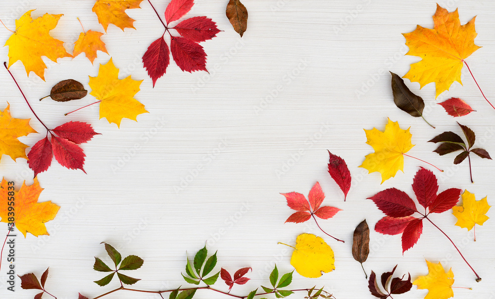 Autumn decor of pumpkins, leaves and berries on a white wooden background.