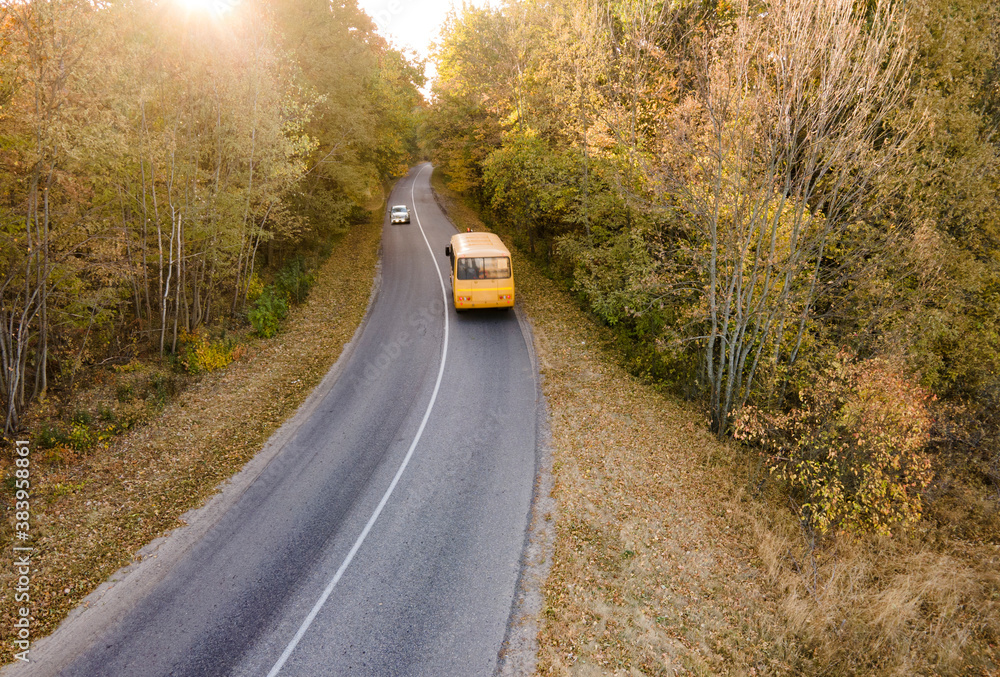 Aerial view of road with school bus in beautiful autumn forest at sunset. - obrazy, fototapety, plakaty 