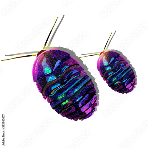 isolated vector image. insects on a white background. bright beautiful beetles with iridescent chitinous shells. cockroaches, woodlice, Pets, collecting insects, pests, insectology. 