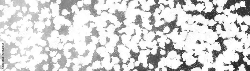 Black and white background. Long rectangular abstract background. Banner for text. White spots, dots on a black background. Black and white background. Long rectangular abstract background. Banner for text. White spots, dots on a black background.