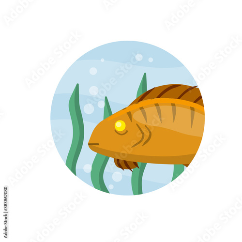 Set of fish. River animal with scales, fins and tail. Underwater life. Water with algae. Wildlife icon in circle. Element of fishing. Cartoon flat illustration
