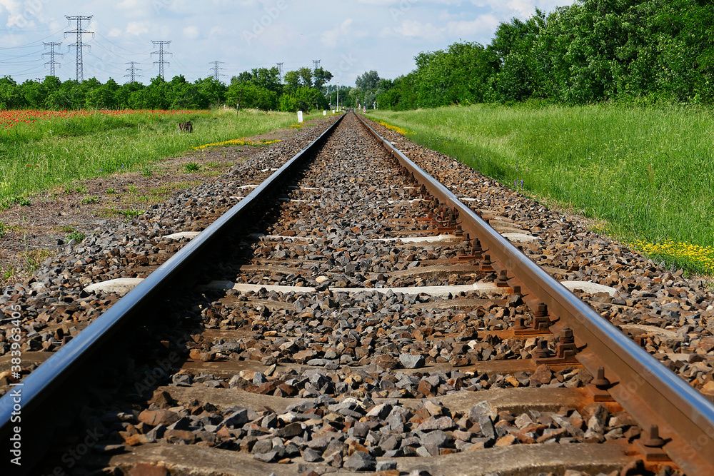 Obraz premium Railway tracks in straight line in the countryside in Eastern Hungary