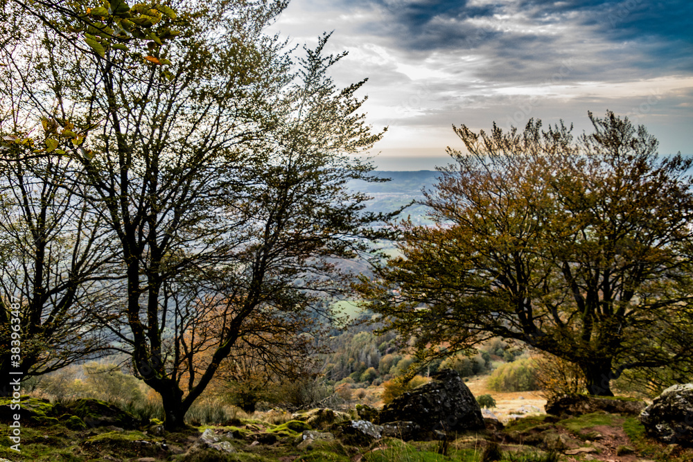 Naturaleza en anochecer durante la subida la monte Adarra del País Vasco Naturaleza en anochecer durante la subida la monte Adarra del País Vasco