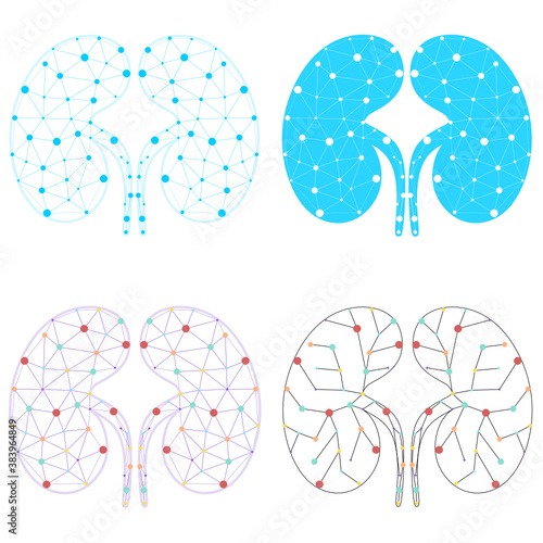 Set of healthy kidney internal organ low poly geometric model, dot line. Urology system medicine disease treatment. Future science technology vector illustration. The treatment of urological diseases.