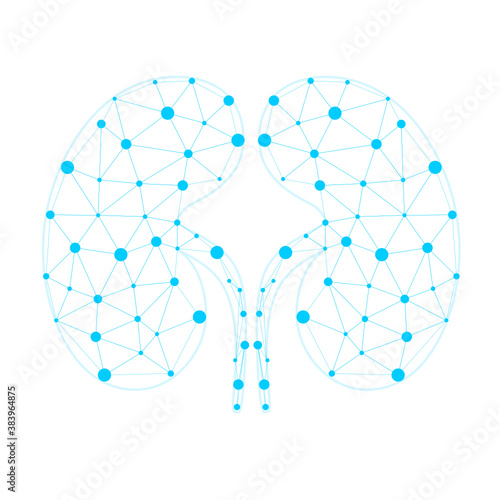 Healthy kidney internal organ low poly geometric model, dot line. Urology system medicine disease treatment. Future science technology arrows vector illustration. The treatment of urological diseases.