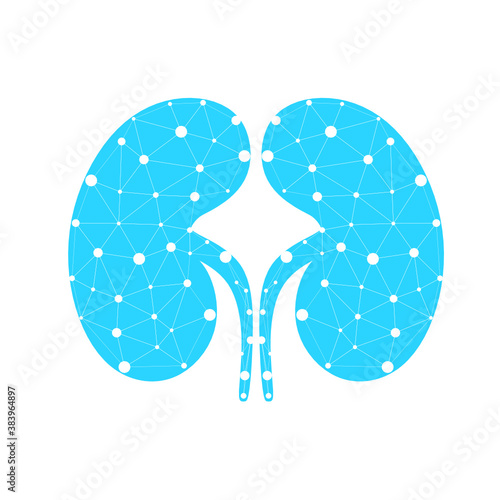 Healthy kidney internal organ low poly geometric model, dot line. Urology system medicine disease treatment. Future science technology arrows vector illustration. The treatment of urological diseases.