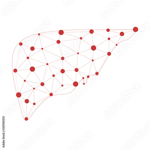 Liver health low poly wireframe. Polygonal anatomic model of human liver made of stars, lines, dots, triangles. Medical and anatomy concept. Cirrhosis and hepatitis medical treatment, transplantation 