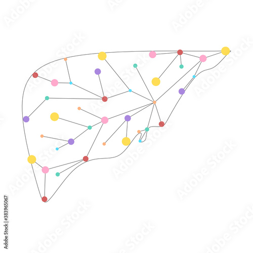 Liver health low poly wireframe. Polygonal anatomic model of human liver made of stars, lines, dots, triangles. Medical and anatomy concept. Cirrhosis and hepatitis medical treatment, transplantation 