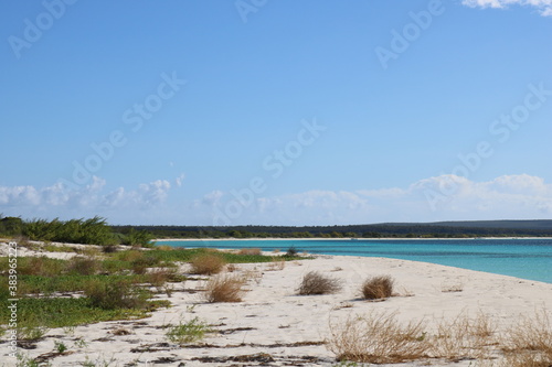Bahia de las Aguilas